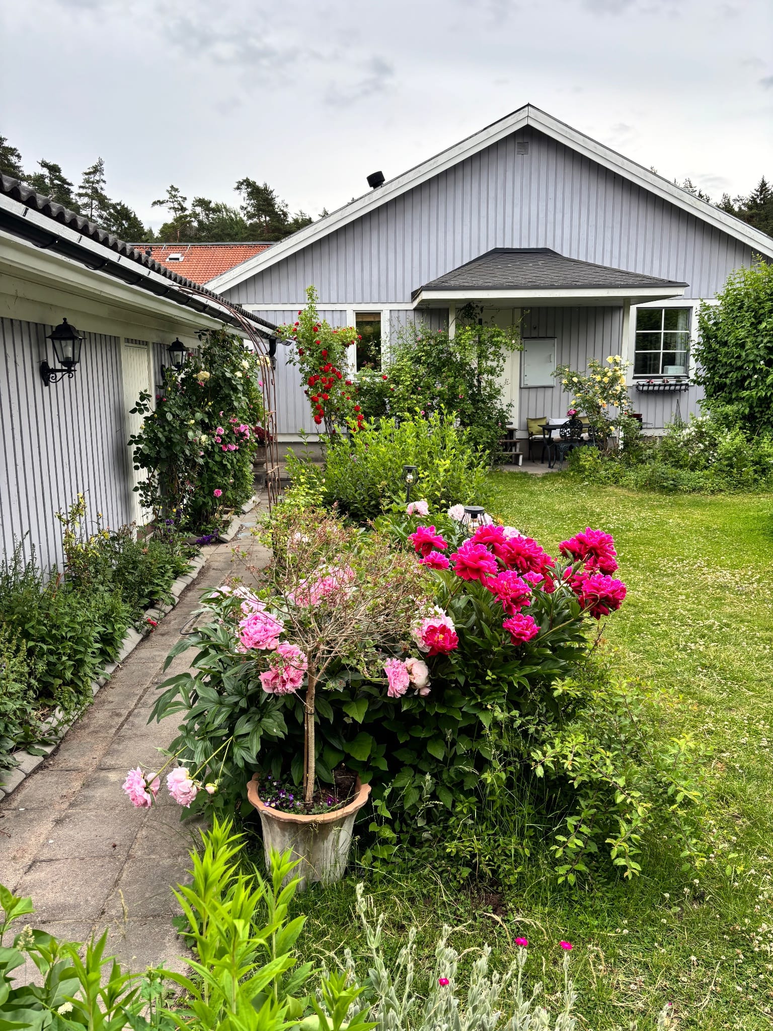 1-room house in Uppsala, Dag Hammarskjöldsväg - image 5 1-room house in Uppsala, Dag Hammarskjöldsväg - image 5